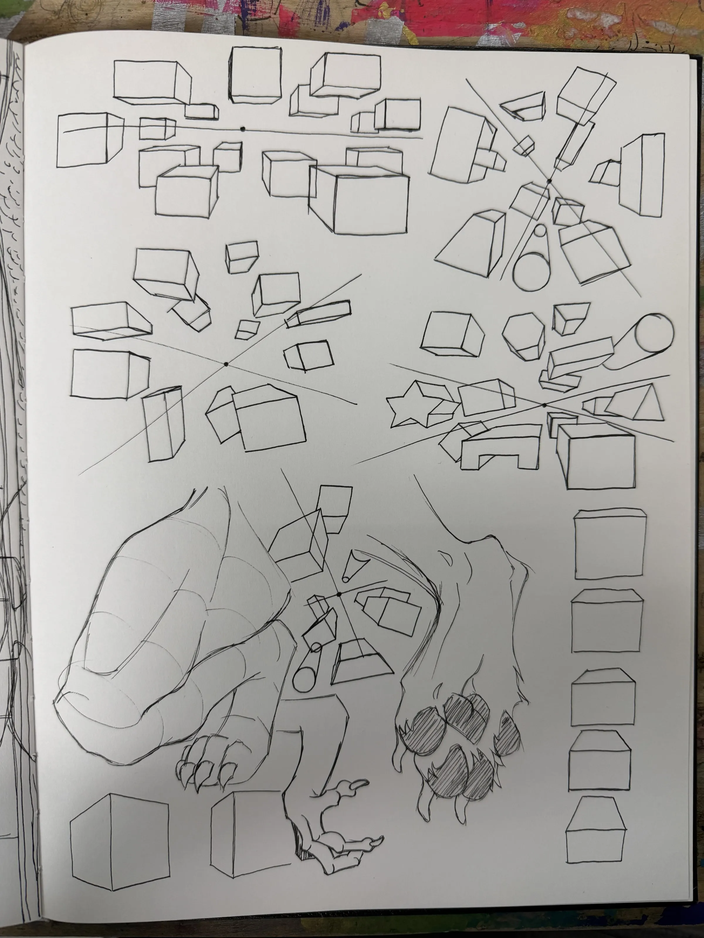 Boxes and paws — A pencil page of boxes turned in perspective, alongside studies of animal paws.